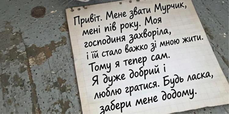 Кошеня лишили в під’їзді з тривожною запискою