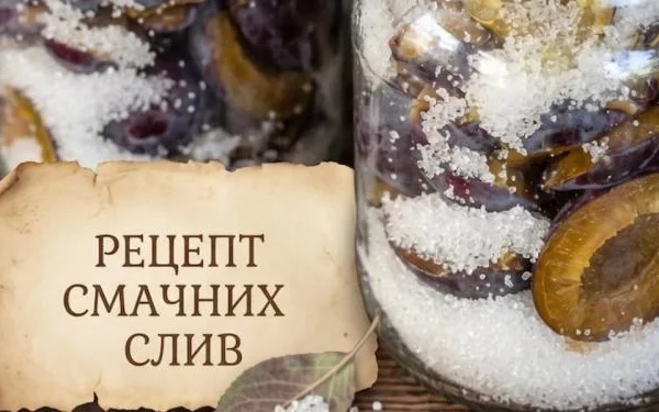 Що зробити з угорки, поки сезон не закінчився: 5 заготовок