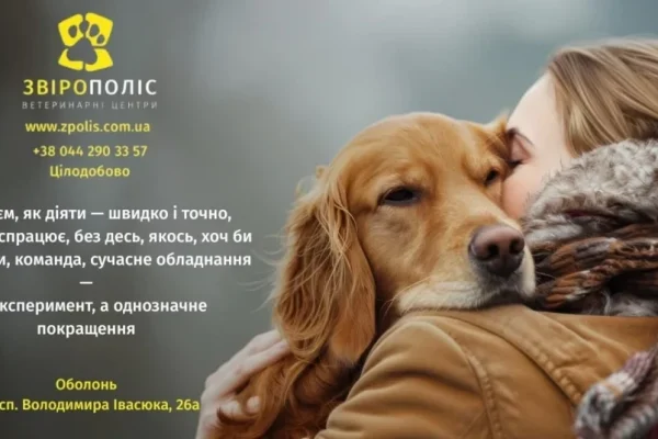 Ветеринарні клініки на Оболоні: медична допомога поруч із домом